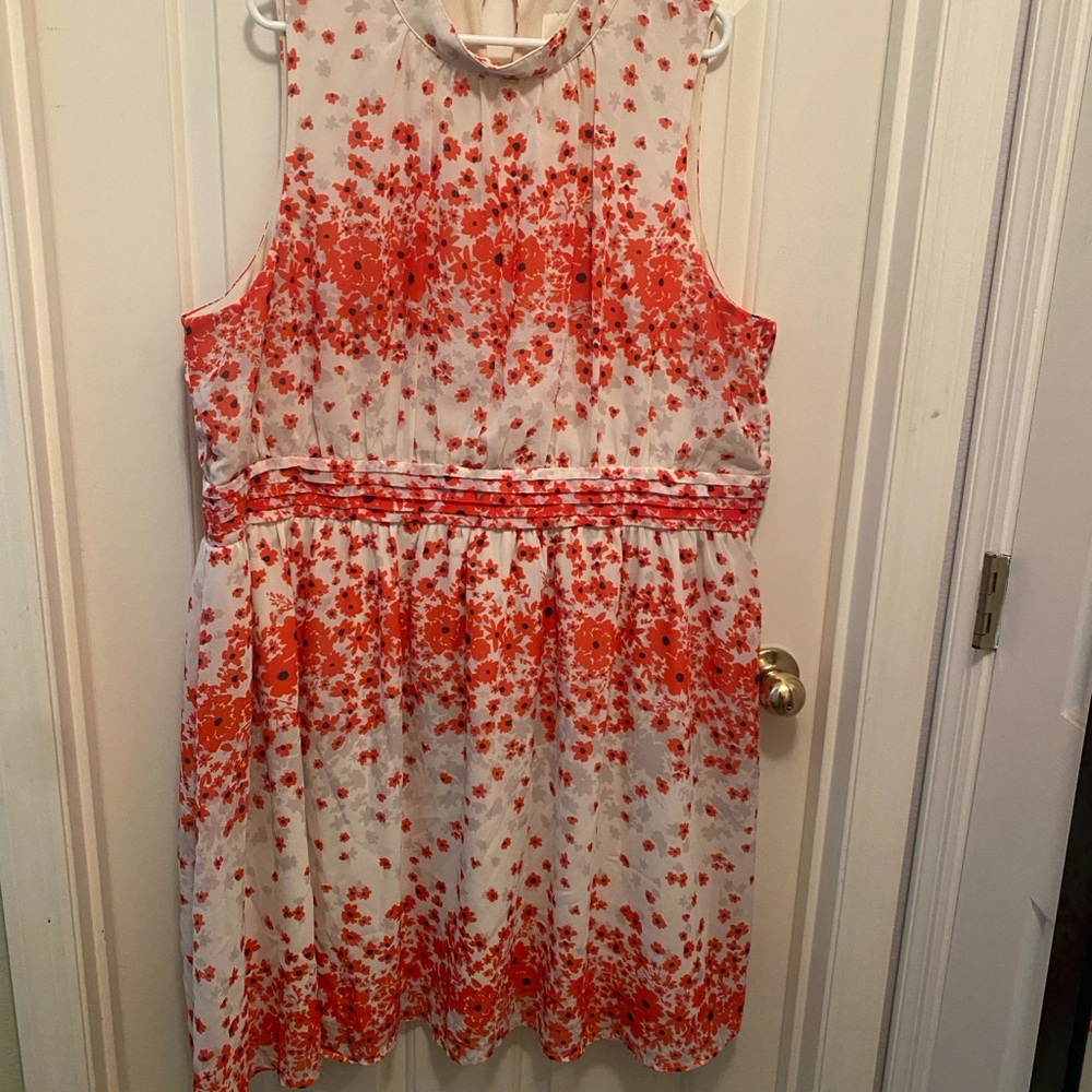 EUC Fervour Sleeveless Dress 3X